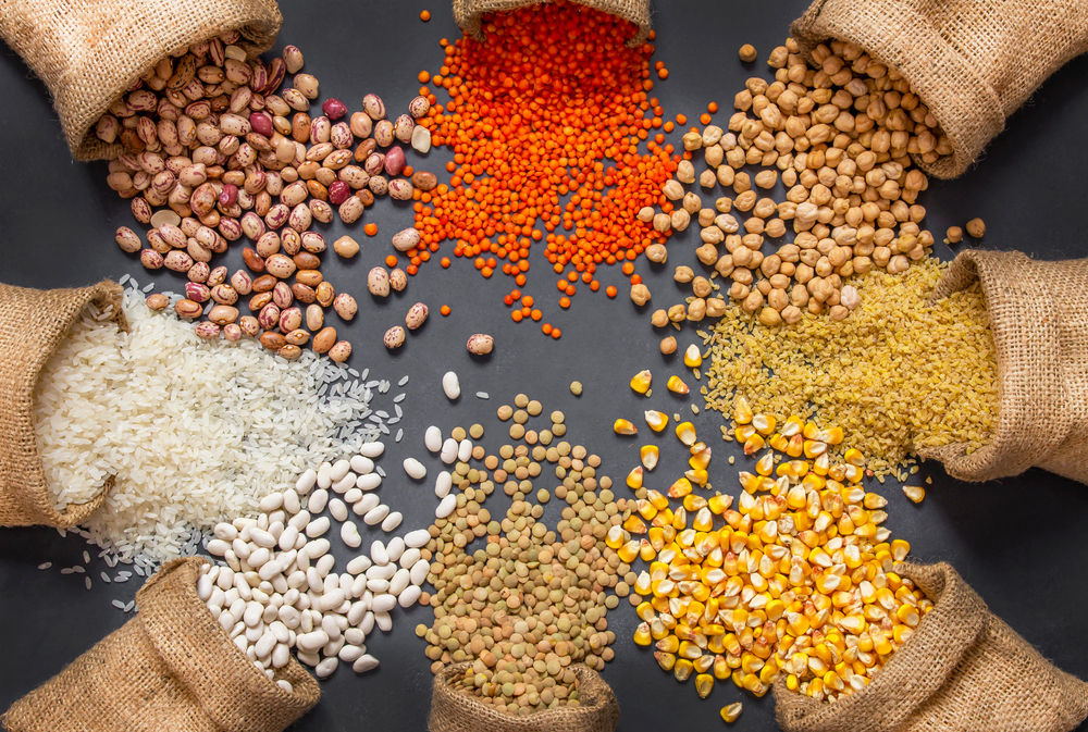 World Pulses Convention 12-15 April Las Vegas / USA